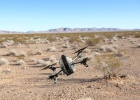 Los drones consiguen un espacio propio en Amazon Los drones consiguen un espacio propio en Amazon