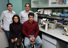 Las ETT alertan: el éxodo de los jóvenes pone en riesgo la recuperación Las ETT alertan: el éxodo de los jóvenes pone en riesgo la recuperación