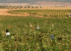El sector del vino español teme un posible veto por parte de Rusia El sector del vino español teme un posible veto por parte de Rusia