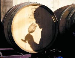 La imperfecta vitamina de la industria