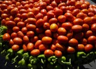 Los presupuestos para agricultura suben un 11% Los presupuestos para agricultura suben un 11%