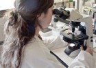 Novartis, Cosentino y la ‘spin-off’ Aquilón, los más innovadores Novartis, Cosentino y la ‘spin-off’ Aquilón, los más innovadores