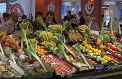 La huerta española se mide al ‘general invierno’