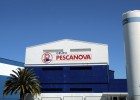 EY se posiciona para auditar las cuentas de Pescanova EY se posiciona para auditar las cuentas de Pescanova