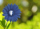Vuelve a utilizar chat interno de la aplicación Facebook para Android de forma sencilla Vuelve a utilizar chat interno de la aplicación Facebook para Android de forma sencilla