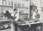 CSIC, 75 años del gran laboratorio de la ciencia CSIC, 75 años del gran laboratorio de la ciencia