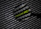 Las empresas buscarán 1.000 expertos en ciberseguridad en Madrid Las empresas buscarán 1.000 expertos en ciberseguridad en Madrid