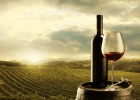 Nuestra Guía de vinos 2015: Nuestra Guía de vinos 2015: