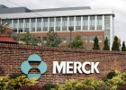 El laboratorio Merck compra Cubist por 7.740 millones El laboratorio Merck compra Cubist por 7.740 millones