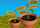No se conforme con un solo plan de pensiones, puede diversificar No se conforme con un solo plan de pensiones, puede diversificar