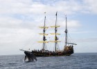 En el fin de la tierra entre ballenas y cabos En el fin de la tierra entre ballenas y cabos