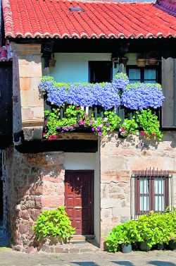 Fuera de casa por Navidad