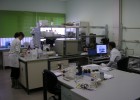 Bionaturis cae un 18% tras revisar a la baja sus ventas Bionaturis cae un 18% tras revisar a la baja sus ventas