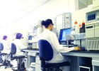 Esteve desarrollará fármacos del dolor por 847 millones Esteve desarrollará fármacos del dolor por 847 millones