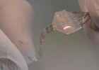 Crean un chip que permitirá andar a los tetrapléjicos Crean un chip que permitirá andar a los tetrapléjicos