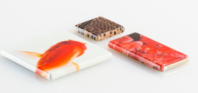 Modulos de Project Ara