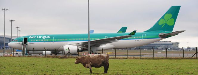 Imagen de un avión de Aer Lingus en el aeropuerto de Dublín.