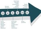 Calendario electoral 2015: citas clave para los inversores Calendario electoral 2015: citas clave para los inversores