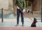 Collares ‘prêt-à-porter’ para perros y amos con estilo Collares ‘prêt-à-porter’ para perros y amos con estilo