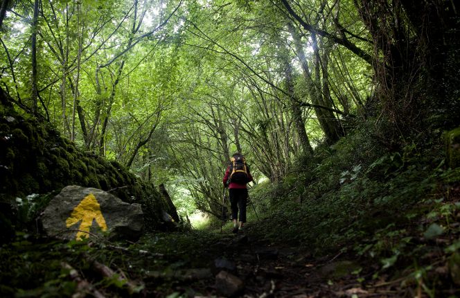 Navarra acoge al visitante y estimula sus sentidos