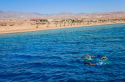 Práctica de snorkel en Áqaba, Jordania.
