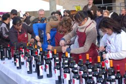 Navarra acoge al visitante y estimula sus sentidos
