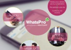 WhatsPro, el servicio para utilizar WhatsApp de forma WhatsPro, el servicio para utilizar WhatsApp de forma