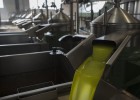 Deoleo denuncia venta de aceite a pérdida en España Deoleo denuncia venta de aceite a pérdida en España