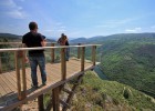 El robledal sagrado que separa Lugo de Orense El robledal sagrado que separa Lugo de Orense