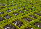 Mercabarna, investigada por vender pescado en negro Mercabarna, investigada por vender pescado en negro