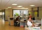 El Gobierno aprueba mañana una nueva ley de Inspección de Trabajo El Gobierno aprueba mañana una nueva ley de Inspección de Trabajo