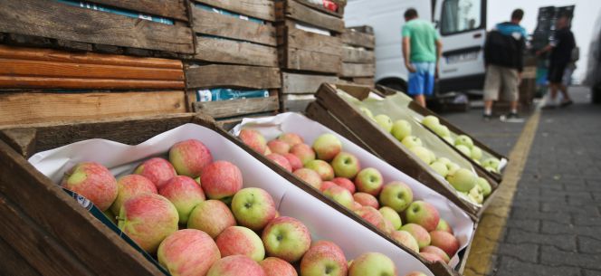Vista de un cargamento de manzanas en el Mercado Agro-Alimentario de Bronisze, cerca de Varsovia (Polonia).