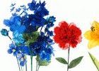 Google ya celebra la entrada de la primavera con un doodle Google ya celebra la entrada de la primavera con un doodle