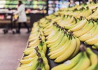 Cesta de la compra: ¿Más productos por menos dinero? Cesta de la compra: ¿Más productos por menos dinero?