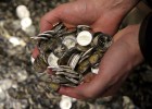 La confianza empresarial sube el 4% en el segundo trimestre La confianza empresarial sube el 4% en el segundo trimestre