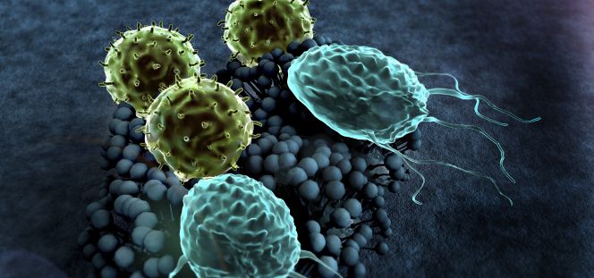 Terapias para que el sistema inmune se ‘coma’ al cáncer