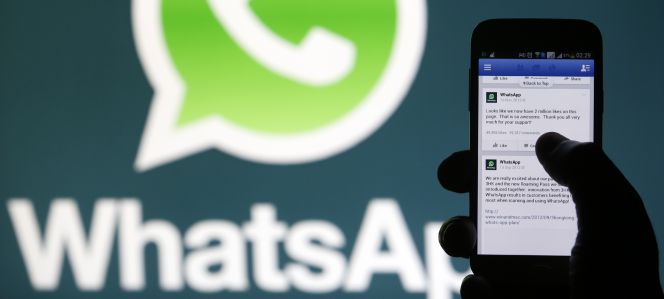 ¡Hasta la aseguradora te atiende ya por WhatsApp!