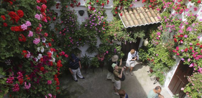 Uno de los patios de Córdoba, declarados en el año 2012 Patrimonio Inmaterial de la Humanidad.