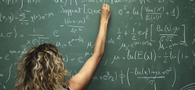 Profesional de las matemáticas.