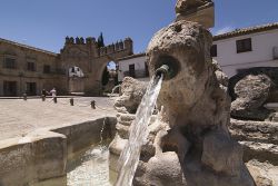 Baeza
