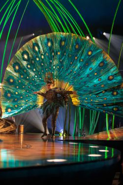 El Circo del Sol, ¿un modelo agotado?