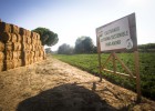 La sostenibilidad empieza por lo cotidiano La sostenibilidad empieza por lo cotidiano