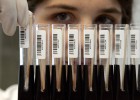 La Caixa financiará ‘biotecs’
que surjan de centros de I+D La Caixa financiará ‘biotecs’
que surjan de centros de I+D