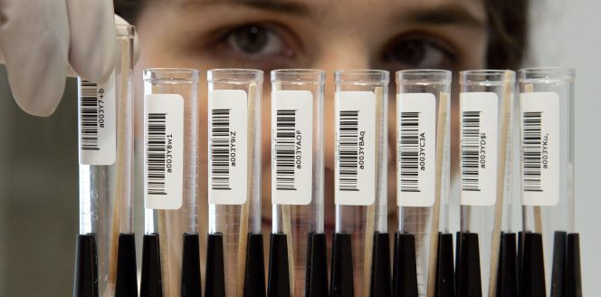 La Caixa financiará biotecnológicas que surjan de centros de I+D