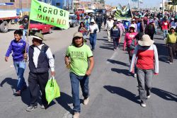 Protestas contra Tía María