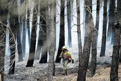 Incendio en el parque natural de la Sierra Norte, en Guadalajara, en 2014