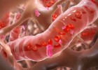 Llega a España la 'viagra' en crema Llega a España la 'viagra' en crema