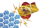España se pelea por la cúpula de la zona euro España se pelea por la cúpula de la zona euro