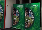 Codere aplaude el real decreto en el que trabaja Hacienda Codere aplaude el real decreto en el que trabaja Hacienda