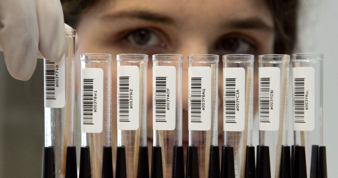Genomcore o cómo mejorar la salud analizando el ADN